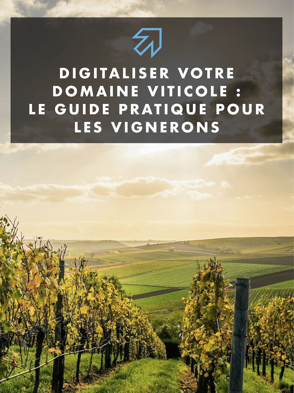 Guide de la Transformation Digitale pour les Vignerons, Caves & Domaines Viticoles | Ebook Gratuit